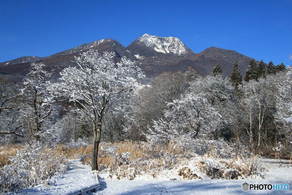 名峰にも・・・・・