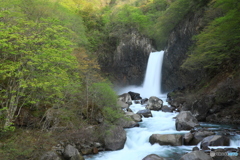 新緑の苗名滝