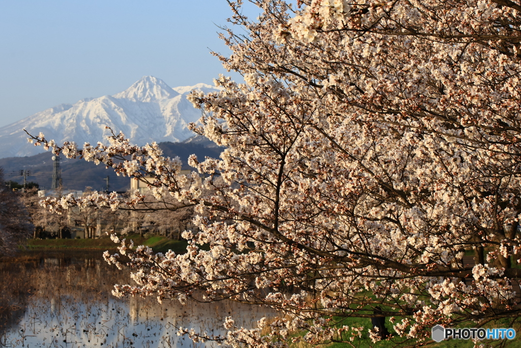 遠くに妙高山