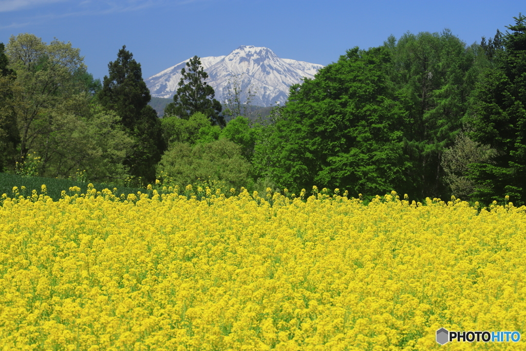 遠方は妙高山