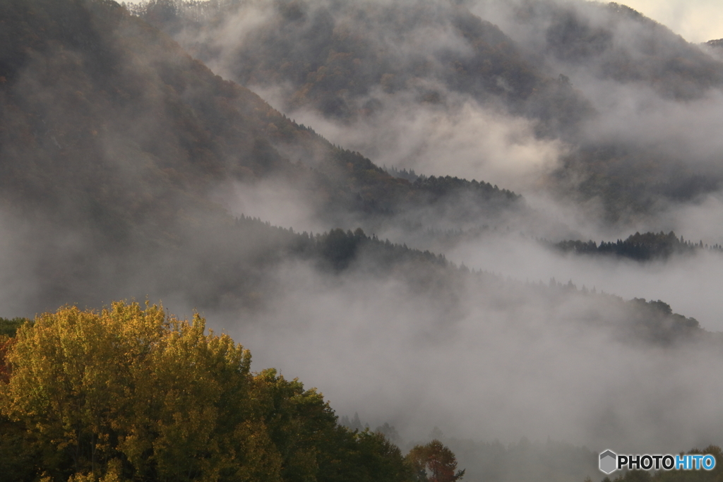 山麗の霧雲