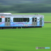 田園を走る