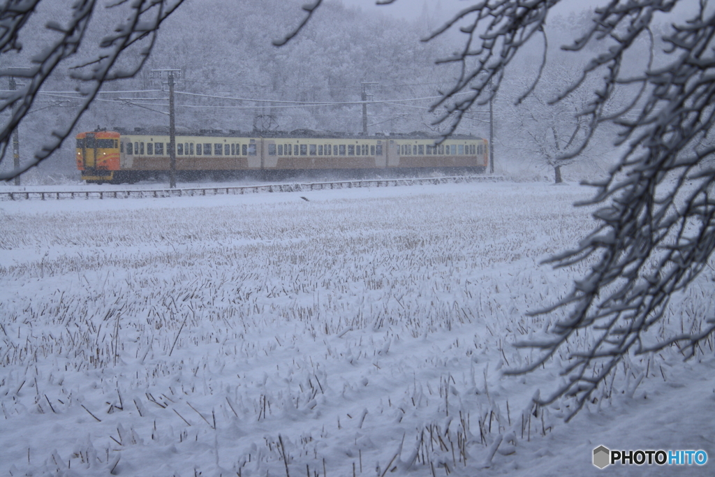 降雪の朝