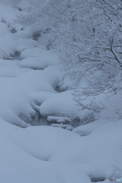 雪景色
