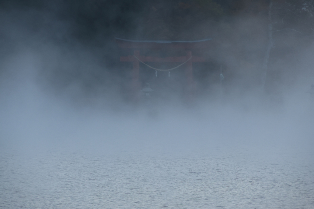 寒い朝