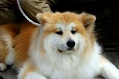 暫し休息・・・！