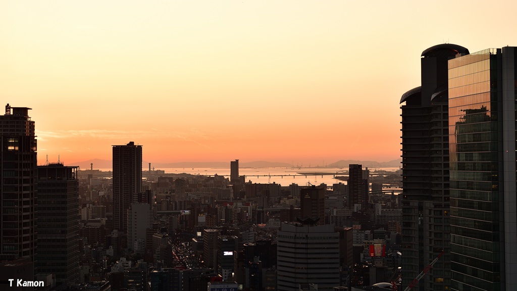 高層ビルからの夕景