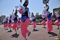 阿波踊り～女踊り①