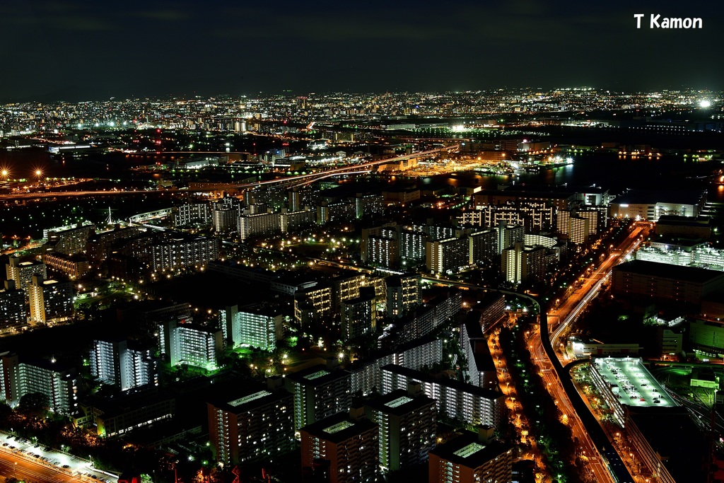 COSMO TOWER からの夜景②