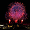 和田山花火①