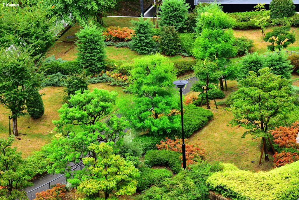 植物は元気!!