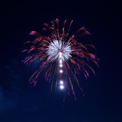 5号玉創造花火の部【優勝】「春雷～春の訪れ～」