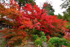 安泰山大國寺の紅葉は見頃!!