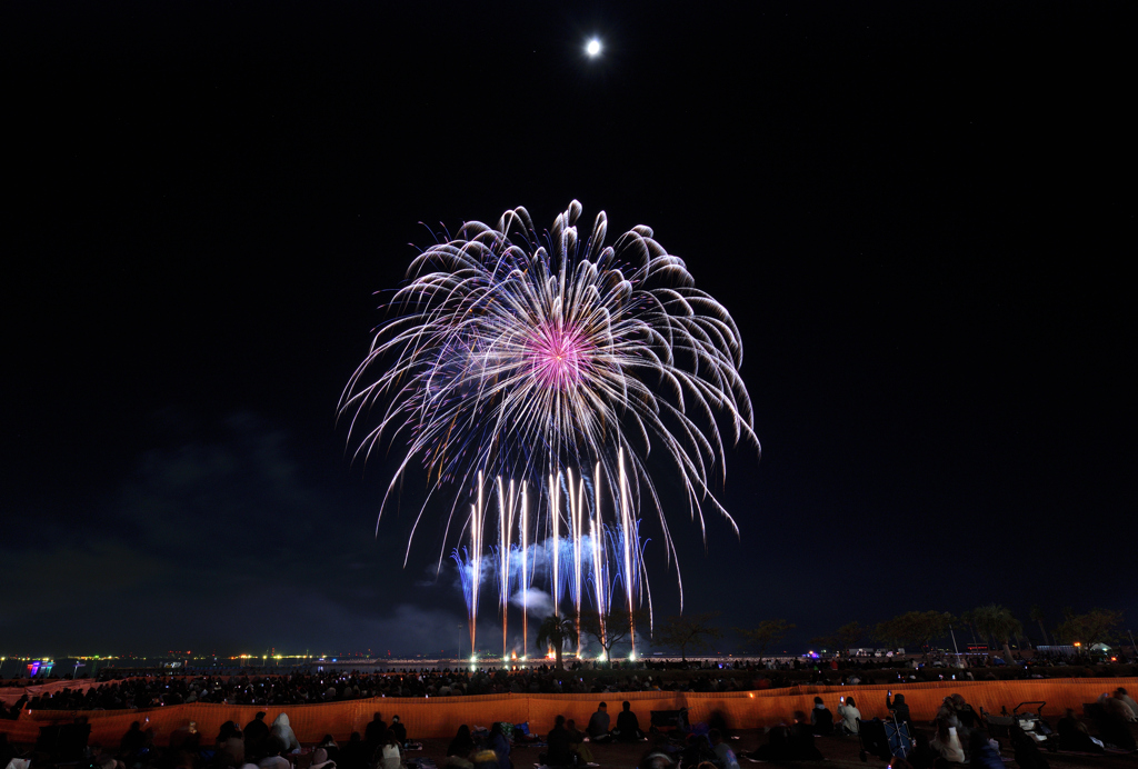 第5回花火甲子園⑪