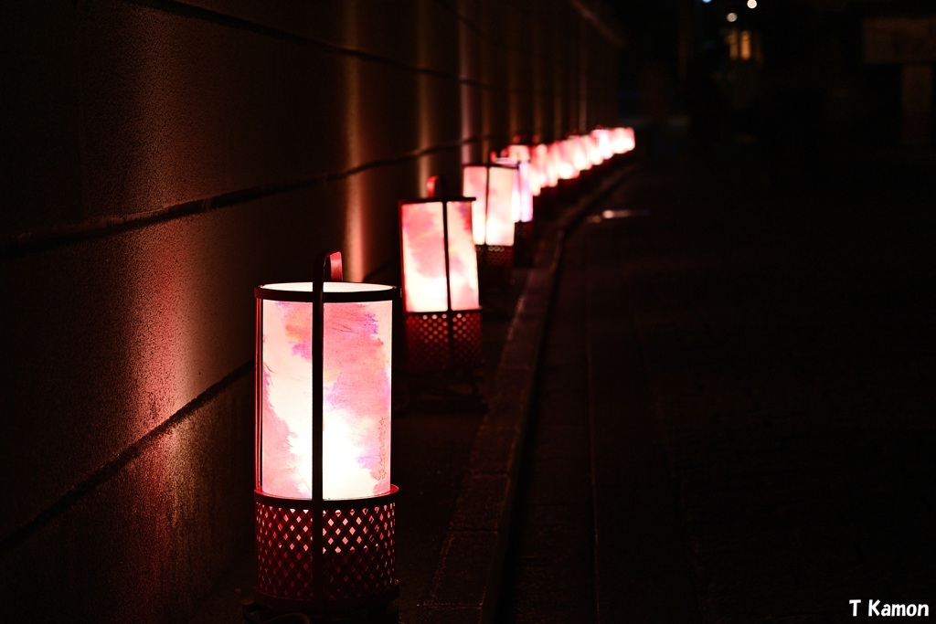 花灯路～2019東山花灯路