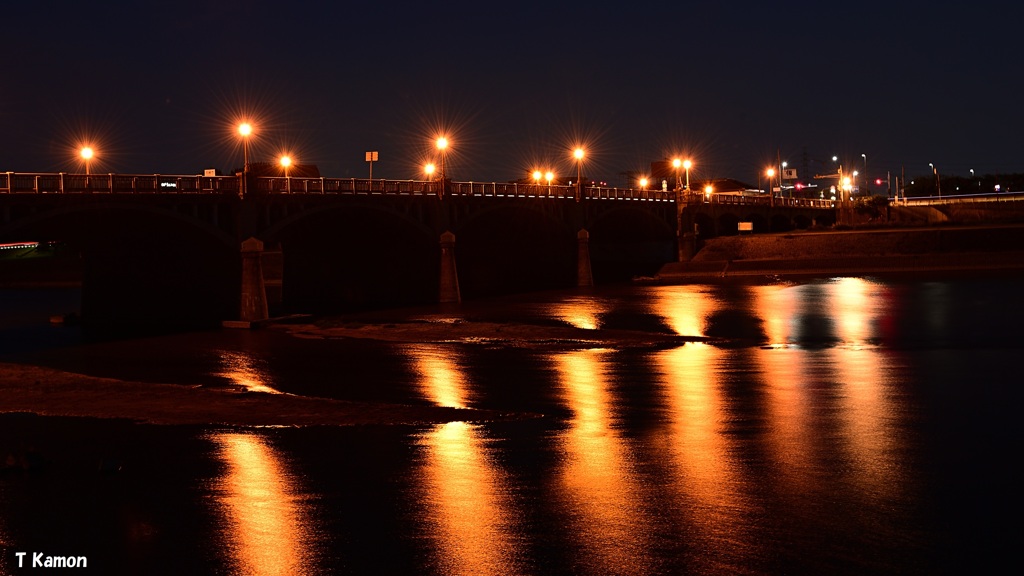 武庫大橋の街灯