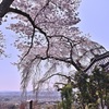 ちょっと遅かった古刹の桜