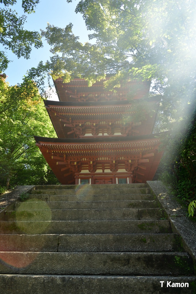 見上げると