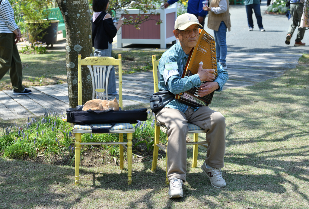 この楽器は何ですか？