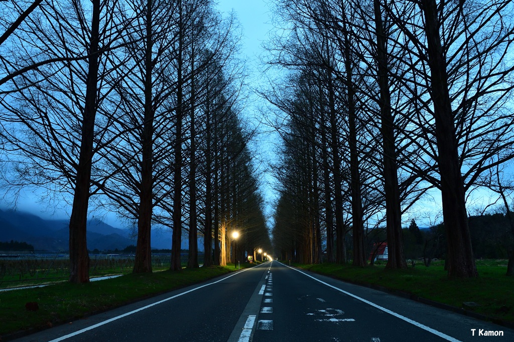 夜明けの道