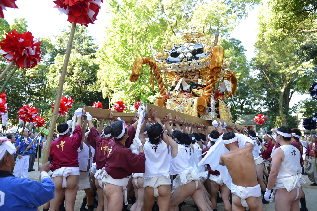 英賀神社秋季例大祭 (まつりシリーズ①)