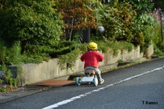 三輪車（田舎シリーズ③）