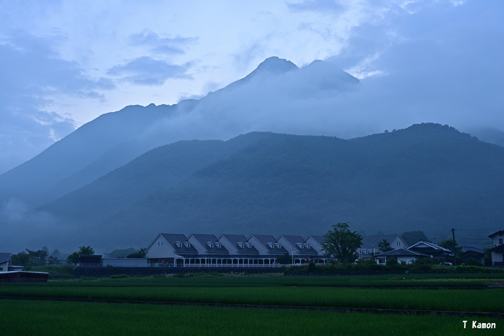 梅雨の由布岳