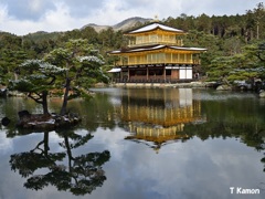 雪の金閣寺を追いかけて