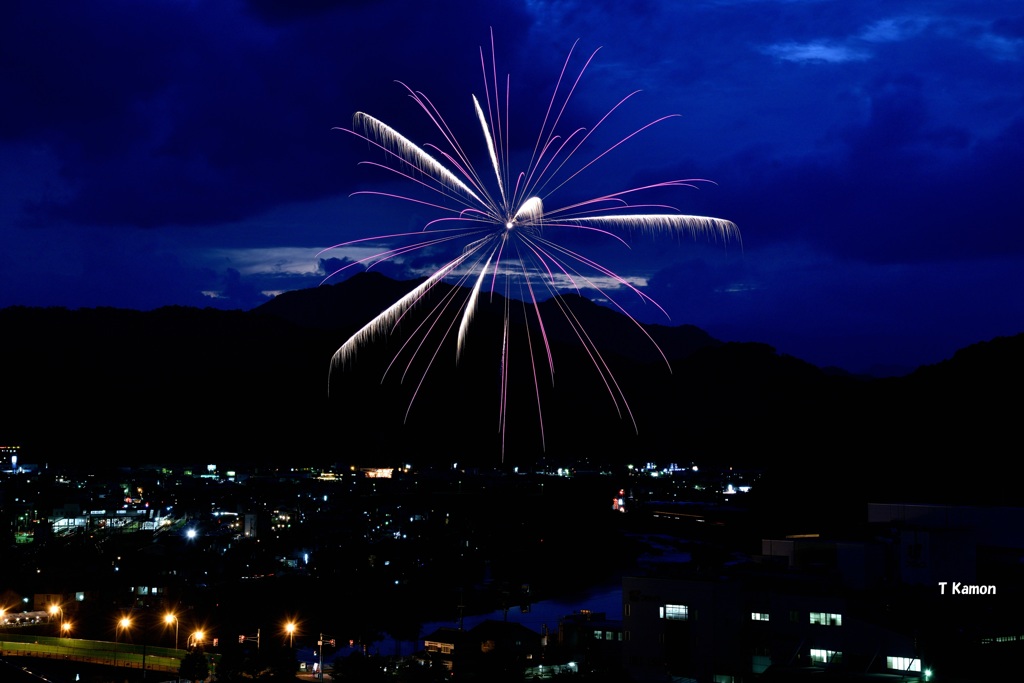 和田山花火①