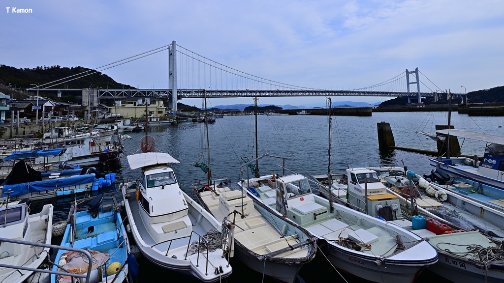 漁港から見た瀬戸大橋