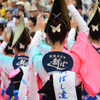 阿波おどり (夏⑥)