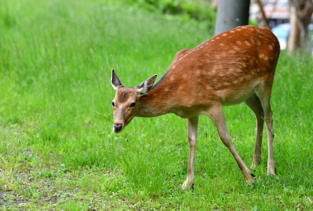 ホテル前で朝食を