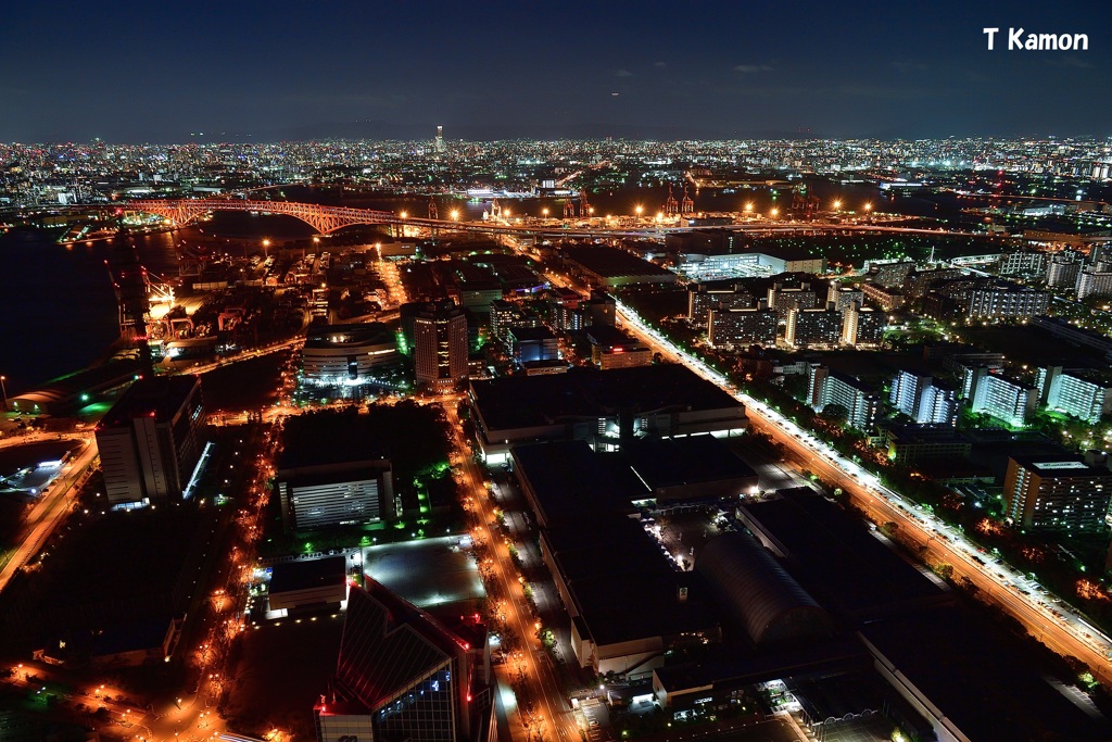 COSMO TOWER からの夜景①