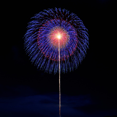 10号自由玉の部【準優勝】「五重芯変化菊」