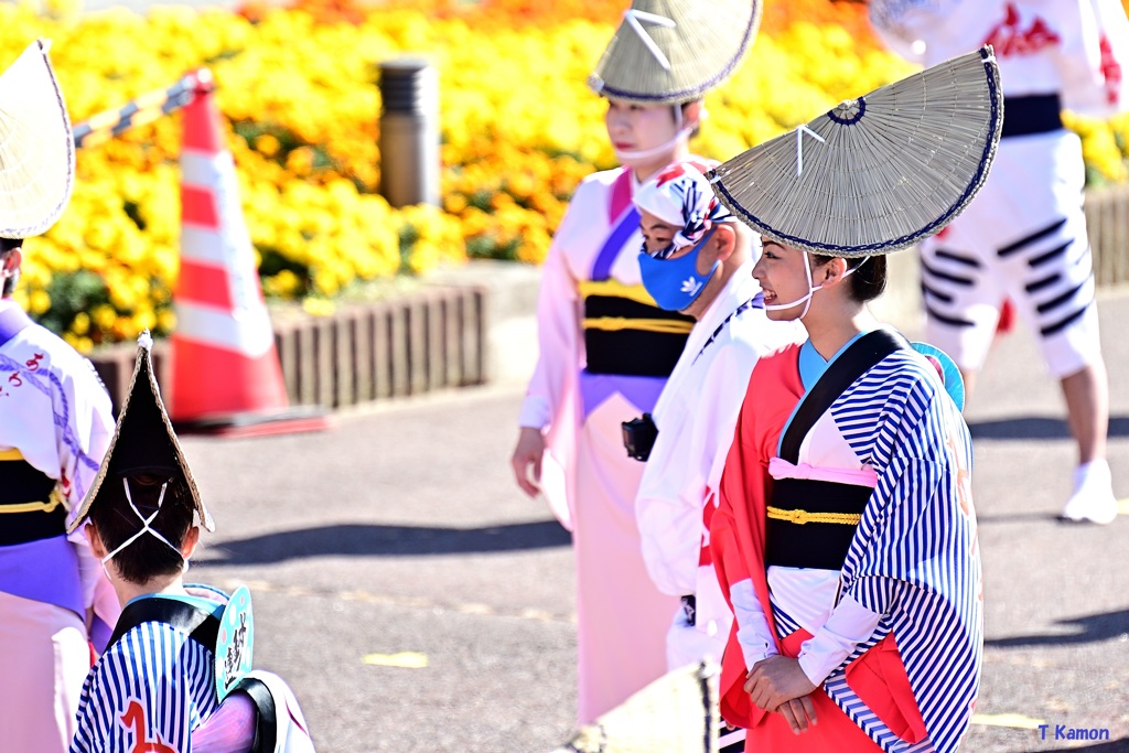 今年も阿波おどりを見ることができました