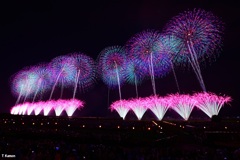 復興祈願花火フェニックスⅳ～長岡まつり大花火大会㉕