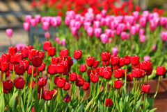 Spring