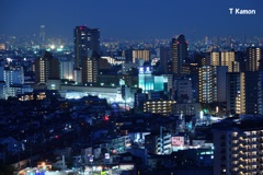 歌劇の町　宝塚の夜景