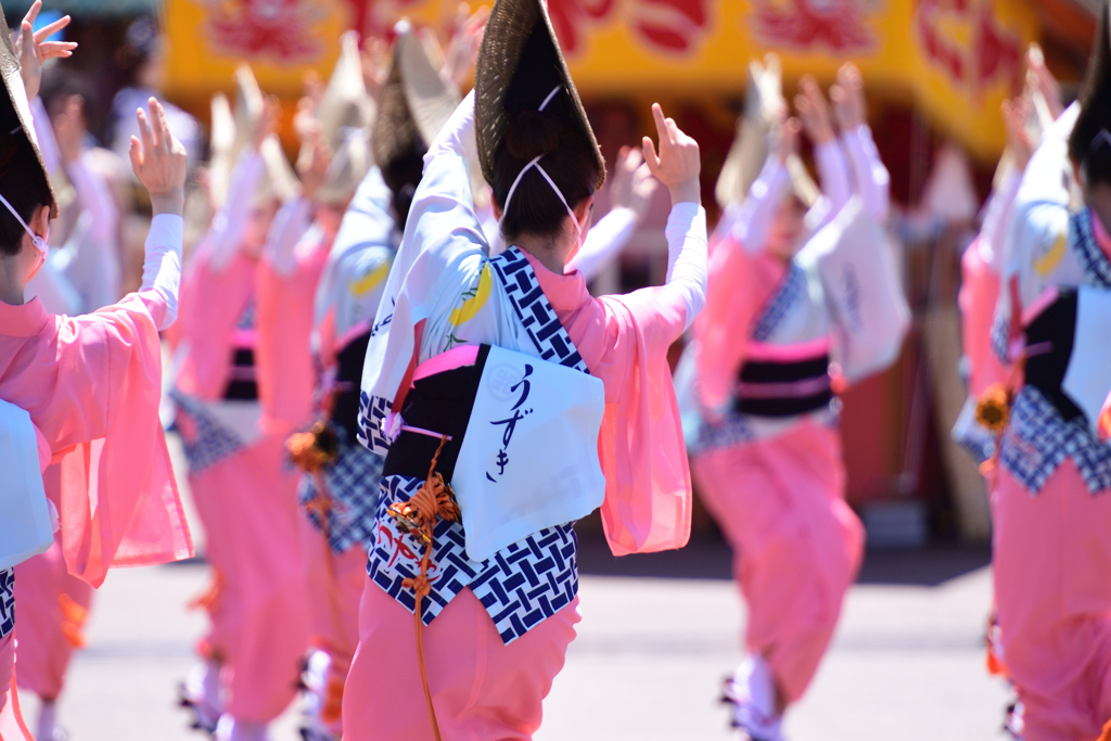 春の阿波おどり　③