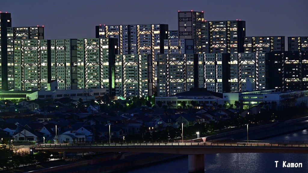 夜