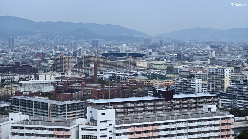 春霞の甲子園