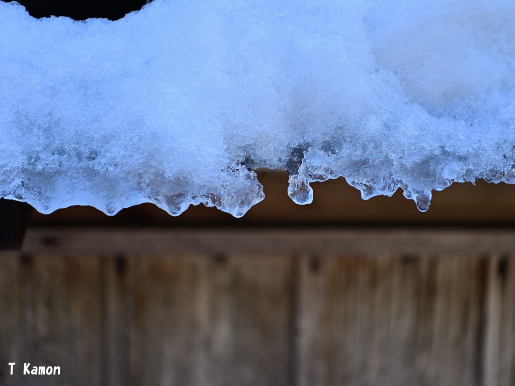 雪解け①