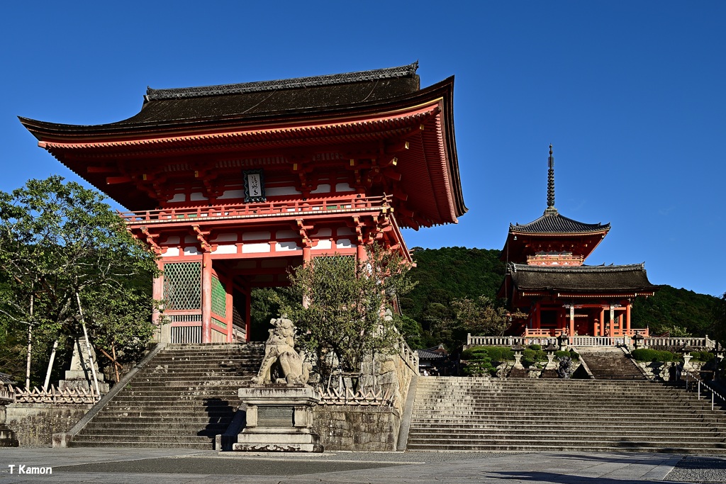清水寺に人がいない