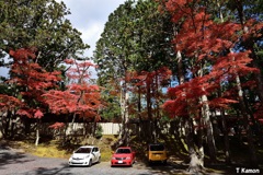 紅葉に包まれた駐車場