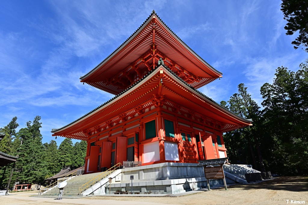 日傘の女性と塔