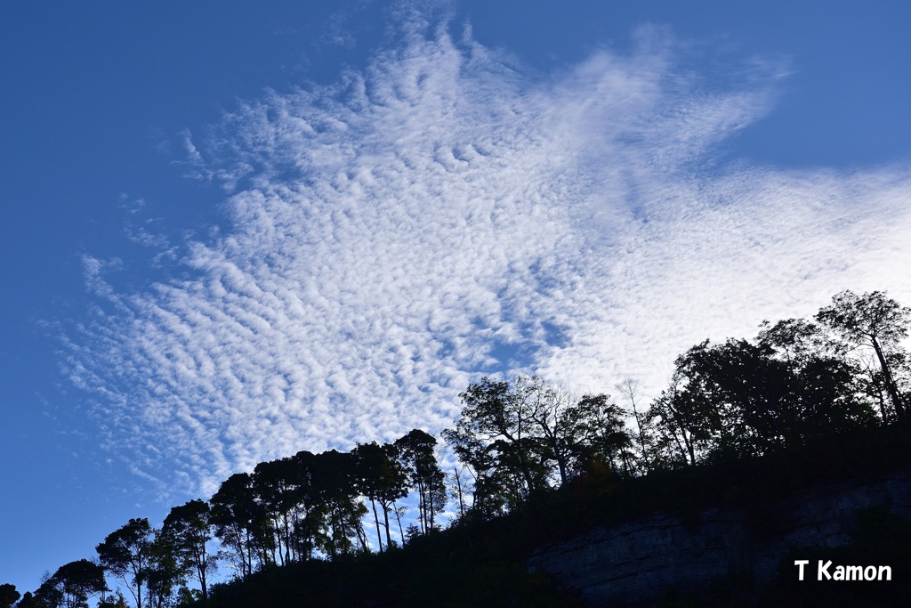 カナダのいわし雲