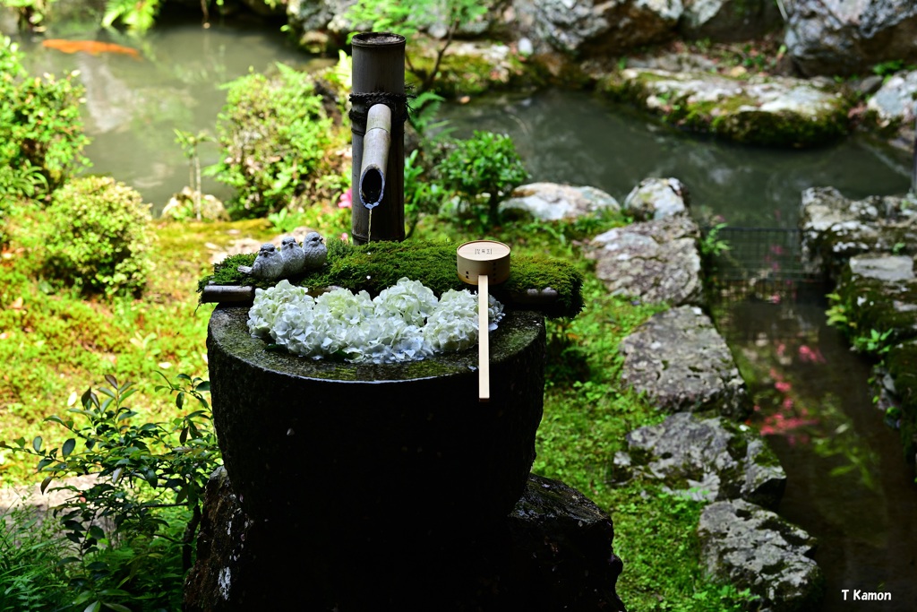 庭手水