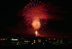 和田山花火③