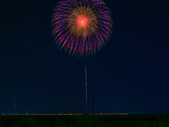 JAPAN FIREWORKS EXPO（未来につなぐ希望の花火）②