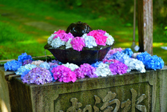 花手水舎